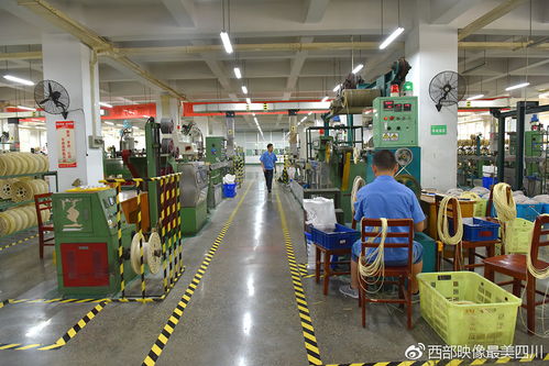 风雨过后见 彩虹